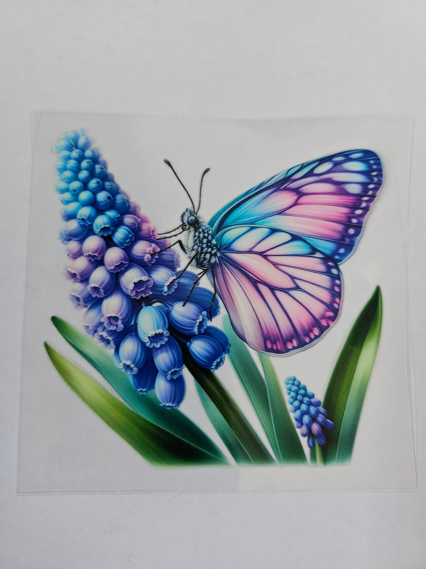 Decal 126